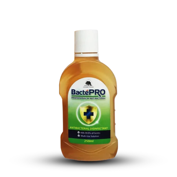 Bactepro Antibacterial Disinfectant 250ML